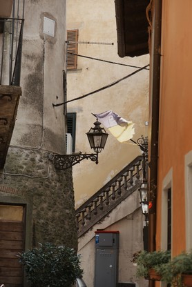 DSC_0103.jpg